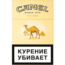 Camel