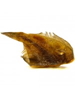 Камбала холодного копчения 100 гр.